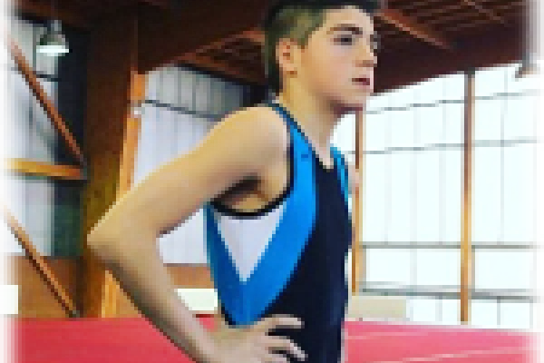 Campeonato Sudamericano de Gimnasia Artística